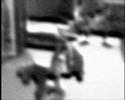 weird stop motion testing weird stop motion testing