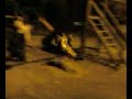 columpios nocturnos 2
