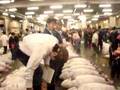 tsukiji fish market (tokyo).....world's biggest fish auction