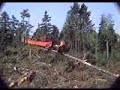 Logma delimber Logma delimber