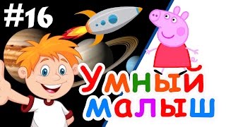 Умный малыш #16