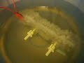 hydrogen at home (more neutral plate tests)#8
