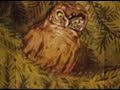 you may find just anything out there..

music:
wilhelm peterson-berger (1867-1942) 