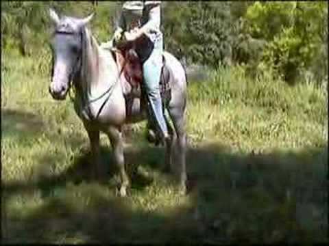 ridingcult
