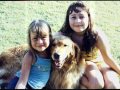 Our Family