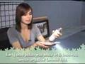 How To Clean Keyboard
