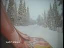 WRC-Fan-Requests-Hen