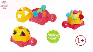Shape Sorter Turtle video 1
