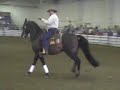 Eitan Beth-Halachmy Cowboy Dressage MWHF 2008 Eitan Beth-Halachmy Cowboy Dressage MWHF 2008