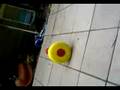 videos de bunny hop