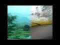 videos de India 1