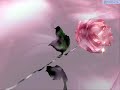 صابر الرباعى وحشنى جدا