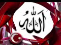 talha bora �ge- ben b�yle olmamaliydim