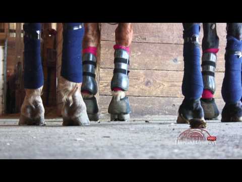 Watch this video!