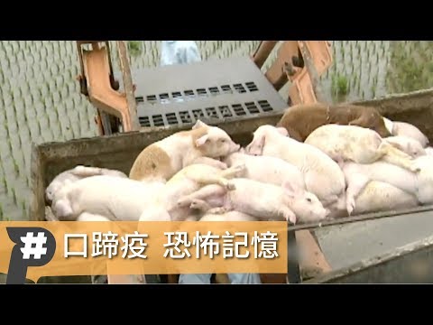 [圖]