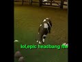 WTF??