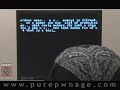 Pure Pwnage episode 10 introduction