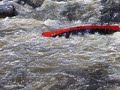 Dabscook Canoeists