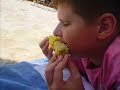 Wakacje w bugarii