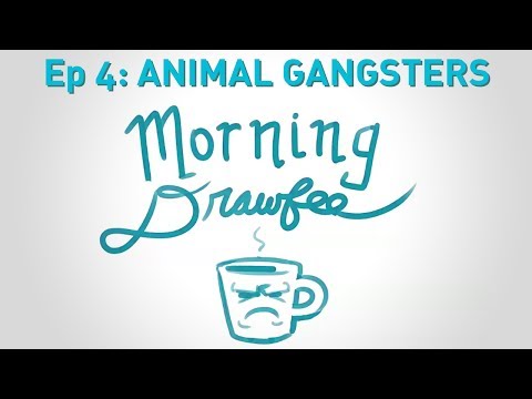 Animal Gangsters - MORNING DRAWFEE