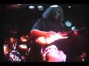 The Sea - Concentration - Live