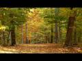 videos de Changing of the Season