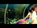 Dopamina Querida Querida Video and Lyrics