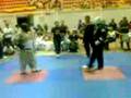 Pela kenpo vs kartae SAI