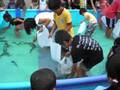 videos de kids catching fish with their bare hands