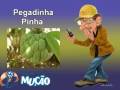 Mucao.com.br - Pegadinha - Pinha