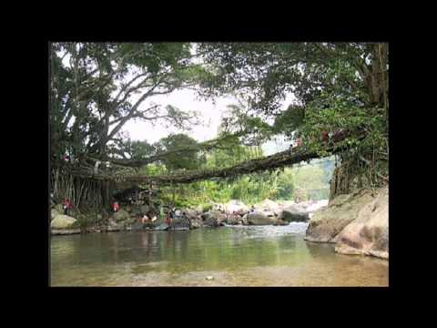 Goc Tim 75A_Chuyen La The Gioi