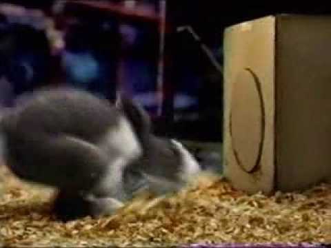 Carl & Ray Blockbuster Video Commercials