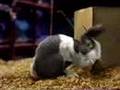 Carl & Ray Blockbuster Video Commercials
