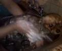 ba�ando a chucky