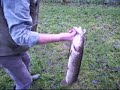 the gay fisherman