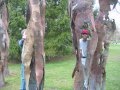 Ground of Scuplture