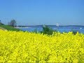 Brodten und das Brodtener Ufer bei Travemünde Niendorf Brodten und das Brodtener Ufer bei Travemünde Niendorf