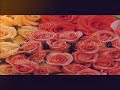 Se...- um poema de amor Se...- um poema de amor