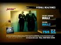 pitbull ringtone tv spot