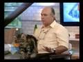 Tapete Exclusivo para Gatos no Programa Hoje Em Dia - Record