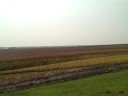 Mackinaw Valley Winery