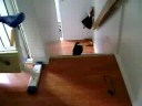 Fetch