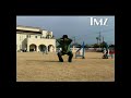 Dog Working Out - Squats
