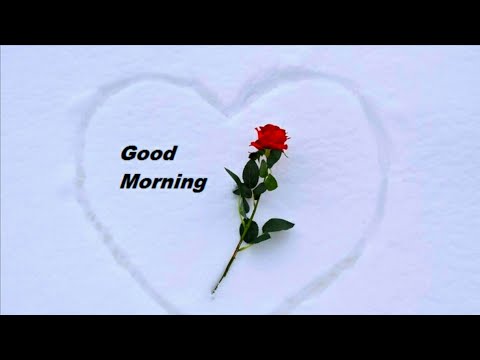 moring naural