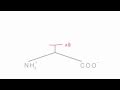 Memorize the 20 amino acids in 20 minutes - Part 1