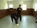 Harimau Baringin Sakti Pencak Silat