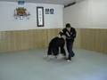 Harimau Baringin Sakti Pencak Silat