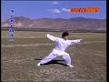 Mizong Yi Quan Tan Tuei