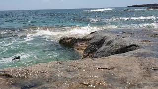 VIDEOS + 19 Aras Fingers Paphos - Sea Caves 14.06.2020 012