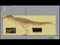 Making of the 3D Cockroach film